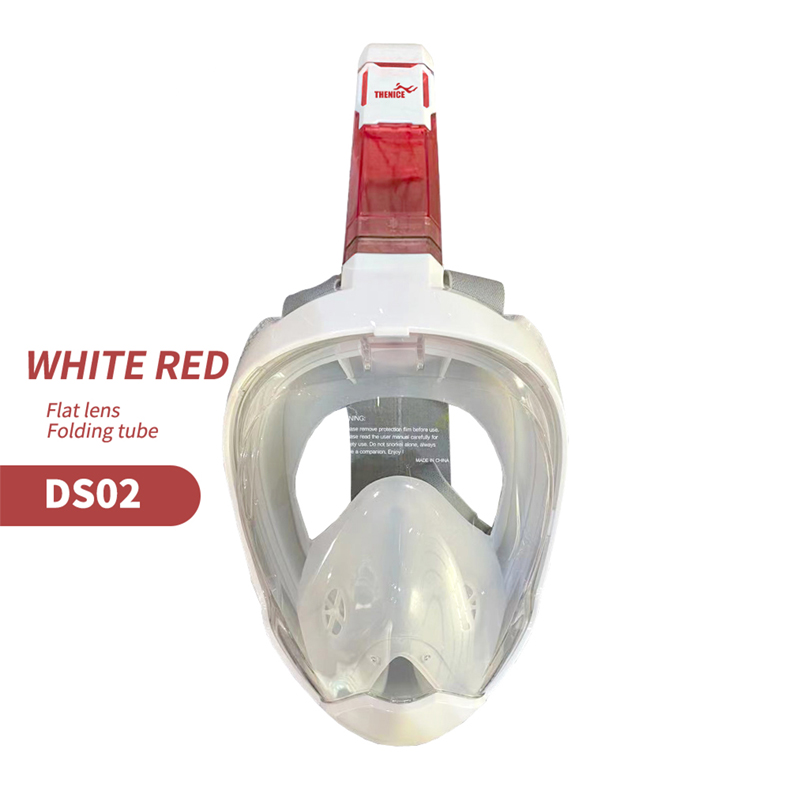 Full Face Snorkel Mask DS02