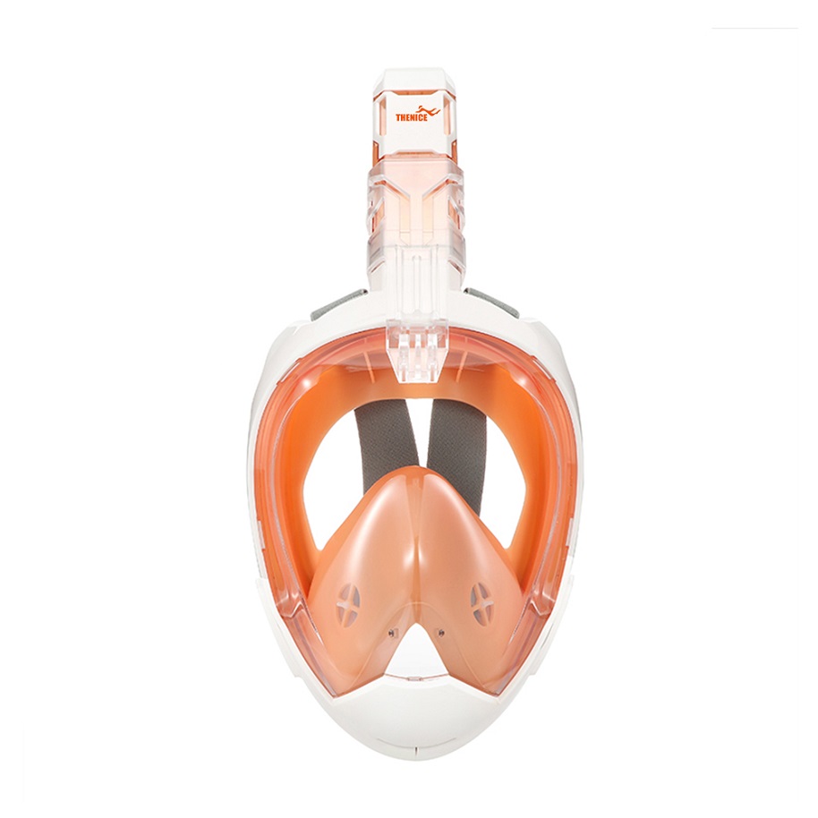 Full Face Snorkel Mask DS02
